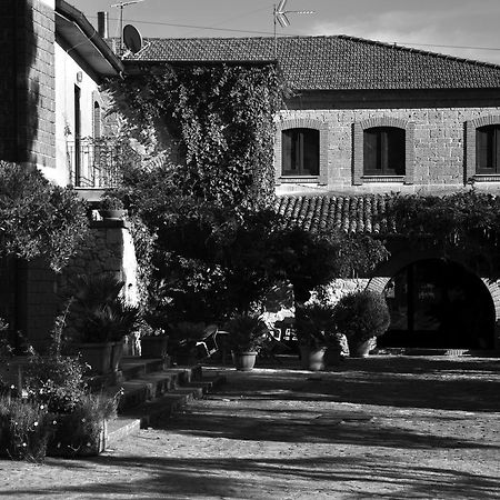 Hotel La Caveja Pietravairano Esterno foto